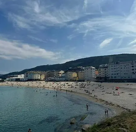 Paloma Playa